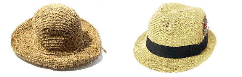 23 Raw Materials For Making Straw Hats